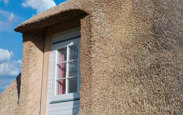 Morden thatch roof disadvantages